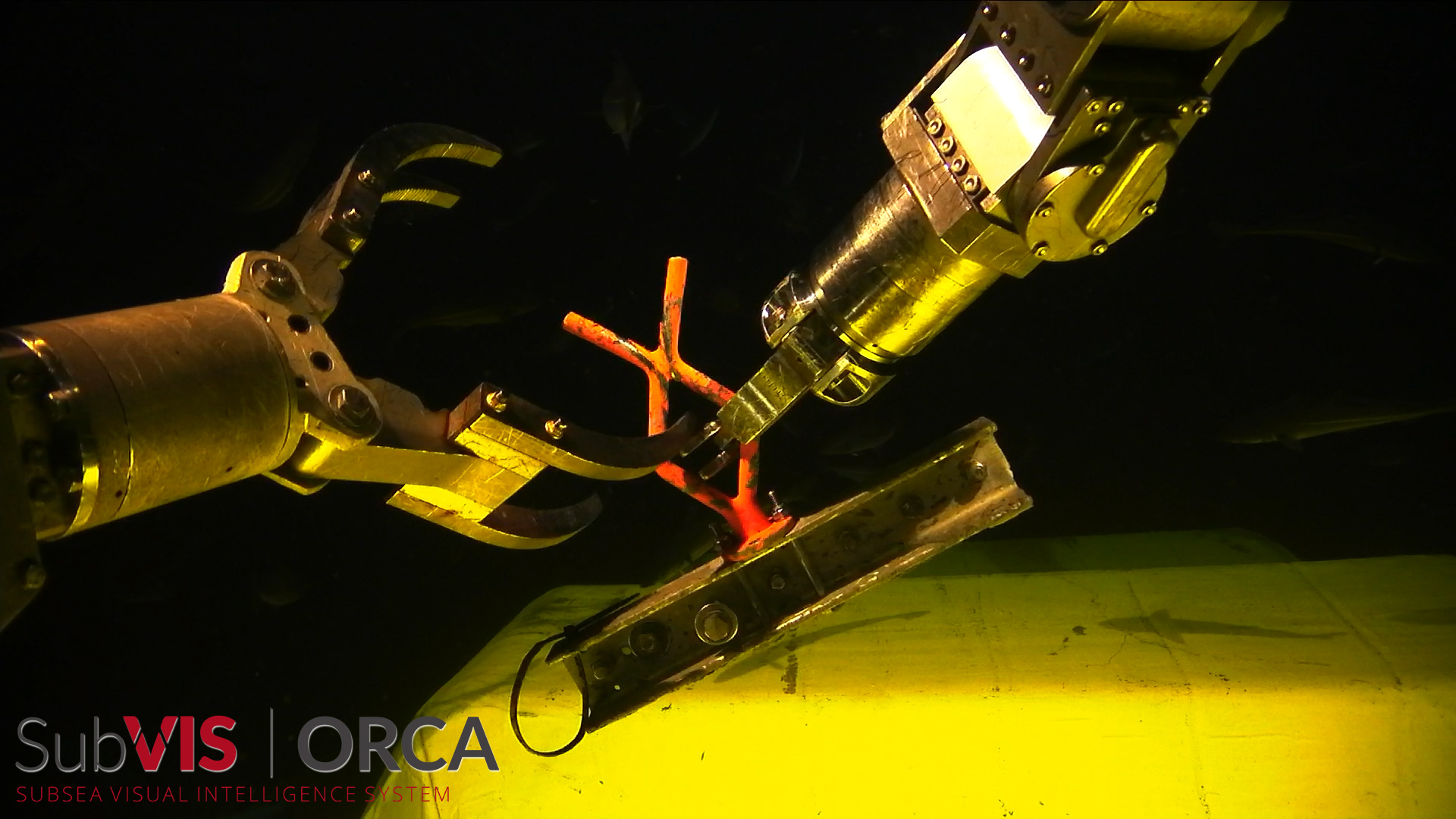 Imenco_SubVIS_Orca_1080p_Video_Snapshot_10